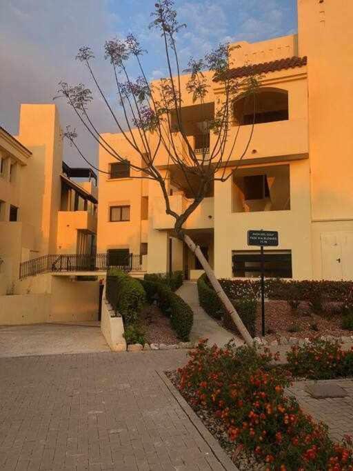 Casa Palmera San Javier Esterno foto